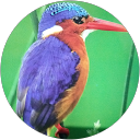 Home - Best Banquet Hall in Dhanbad Narendra Sharma profile picture